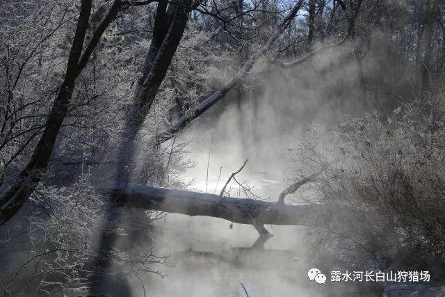 大人万万不可
