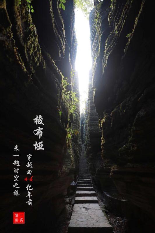 创作猫