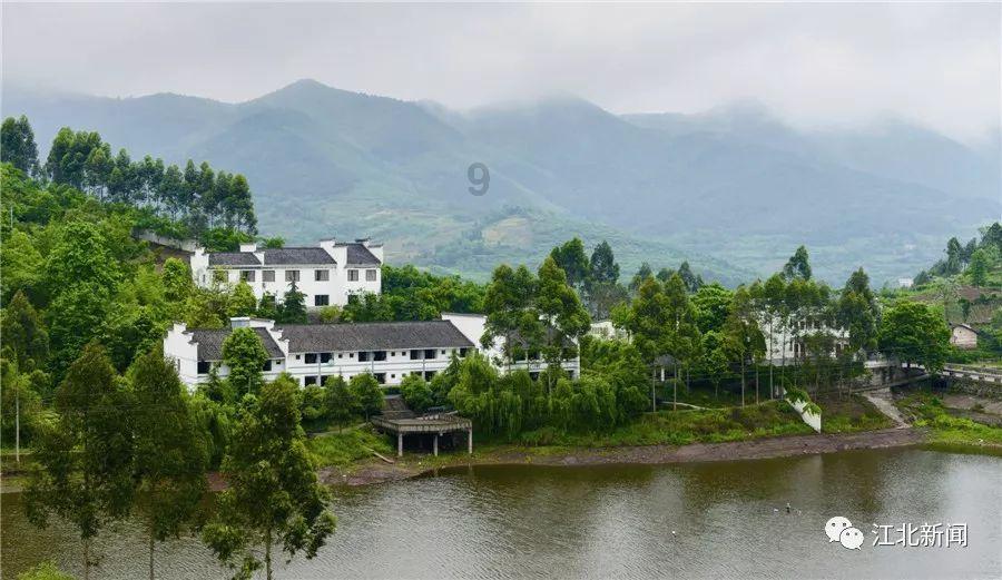 拯救枯树