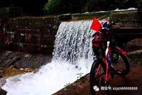虫虫助手下载
