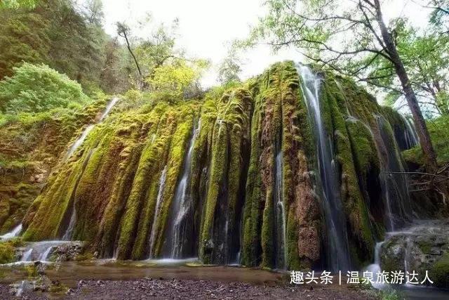 海底世界填颜色5