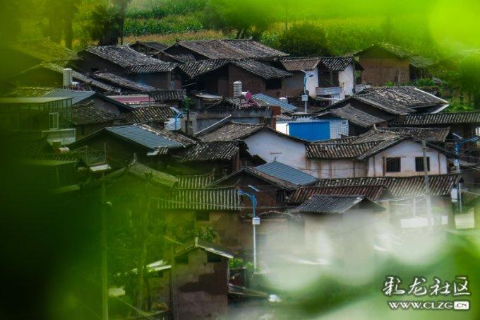 妙鸭相机app下载官网