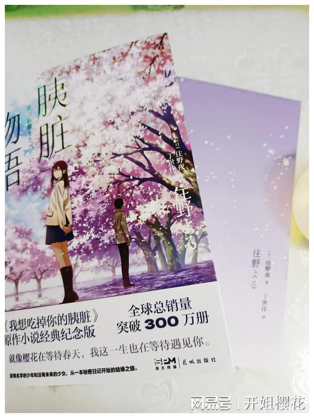 寻找海盗帽的男孩