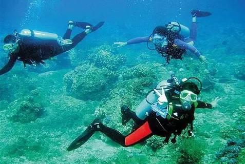 秋季浪漫约会