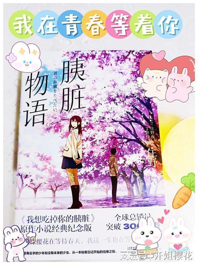 寻找萌宠松鼠