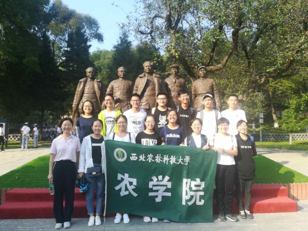 逃离诡异小镇