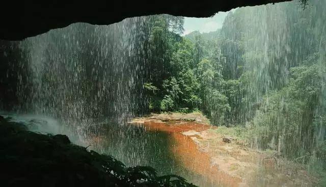 春雨直播app