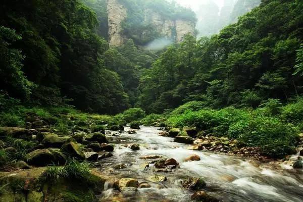 为什么《水浒传》里的好汉似乎都喜欢吃牛肉?-最佳红迪网平台