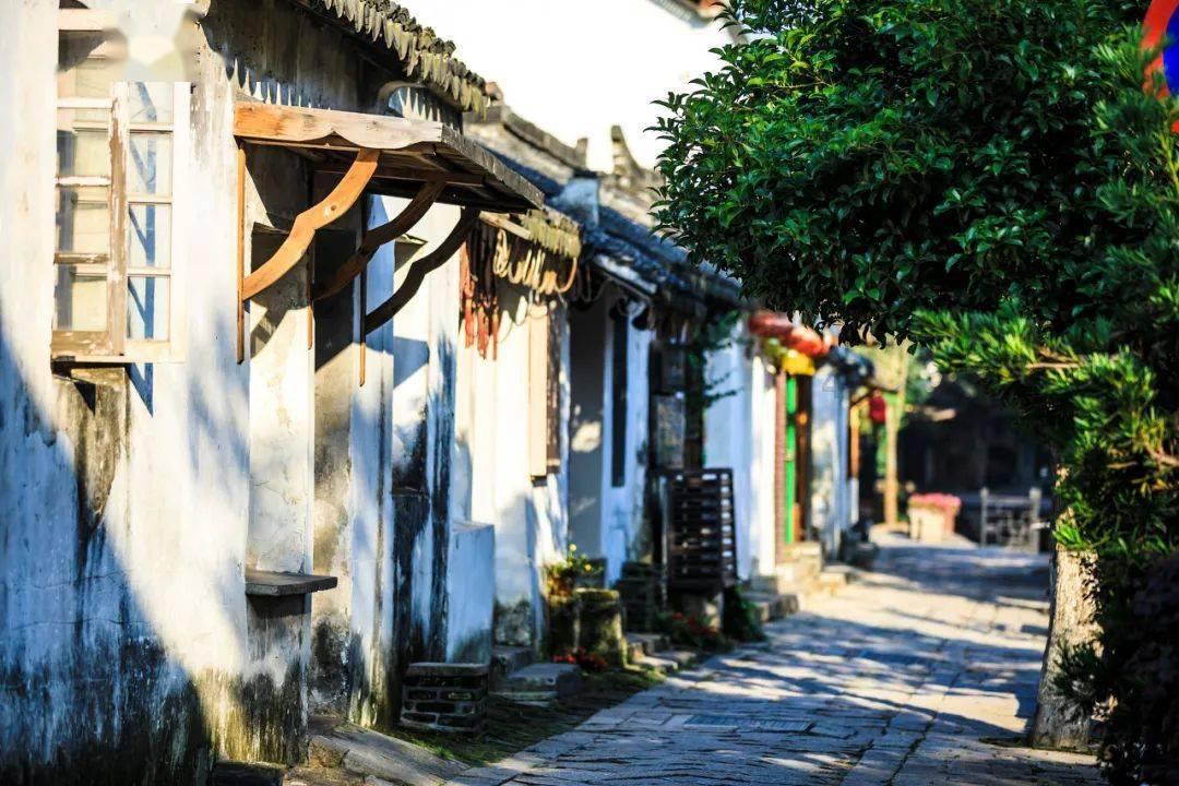正义的化身
