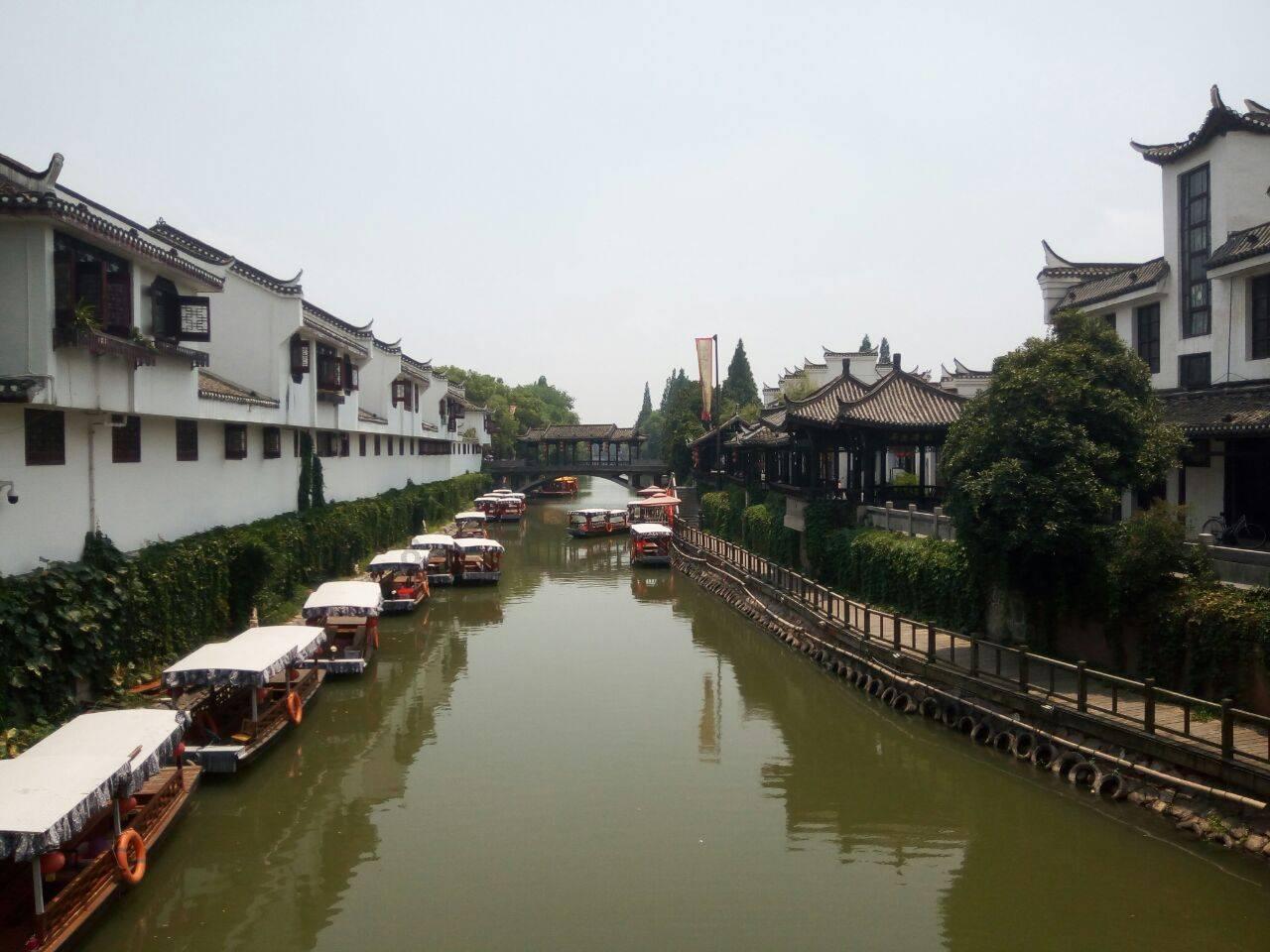 拯救蝙蝠家族